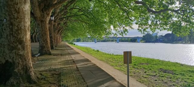 Invertir en Ponte de Lima: Historia, Naturaleza y Oportunidades Inmobiliarias en el Norte de Portugal