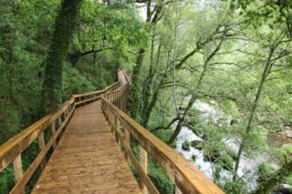 _img_4042_copia_1_1024_2500_65fbfc8f9f3b9